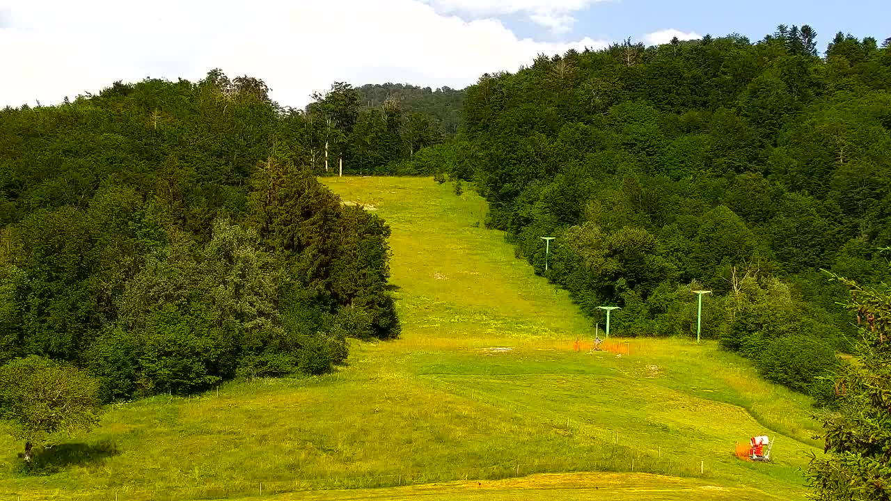 Webcam Lokve – The beauty of the Trnovo forest