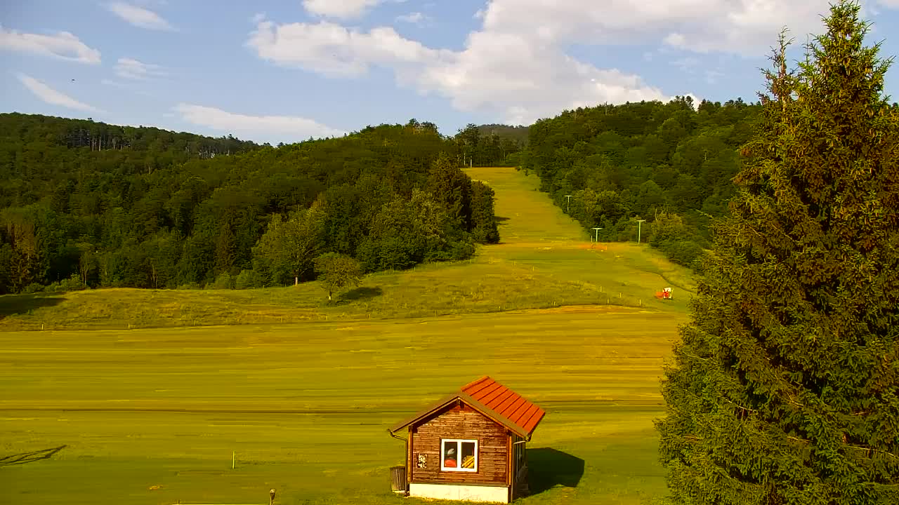 Webcam Lokve – Die Schönheit des Trnovo-Waldes