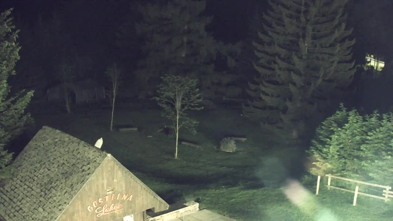 Webcam Loqua / Lokve – La bellezza della selva di Tarnova