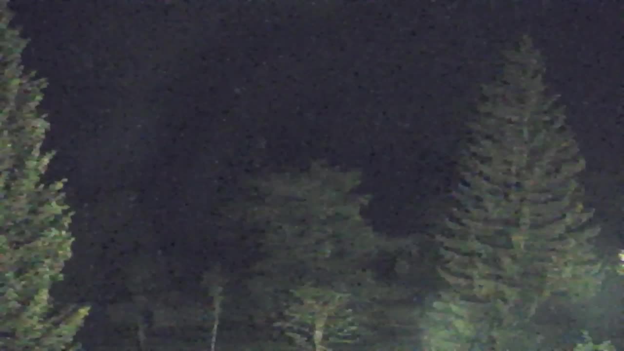 Webcam Loqua / Lokve – La bellezza della selva di Tarnova