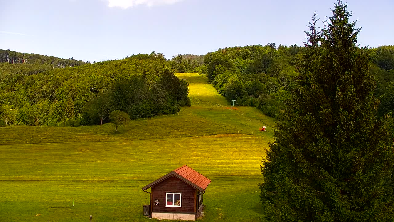 Webcam Lokve – The beauty of the Trnovo forest