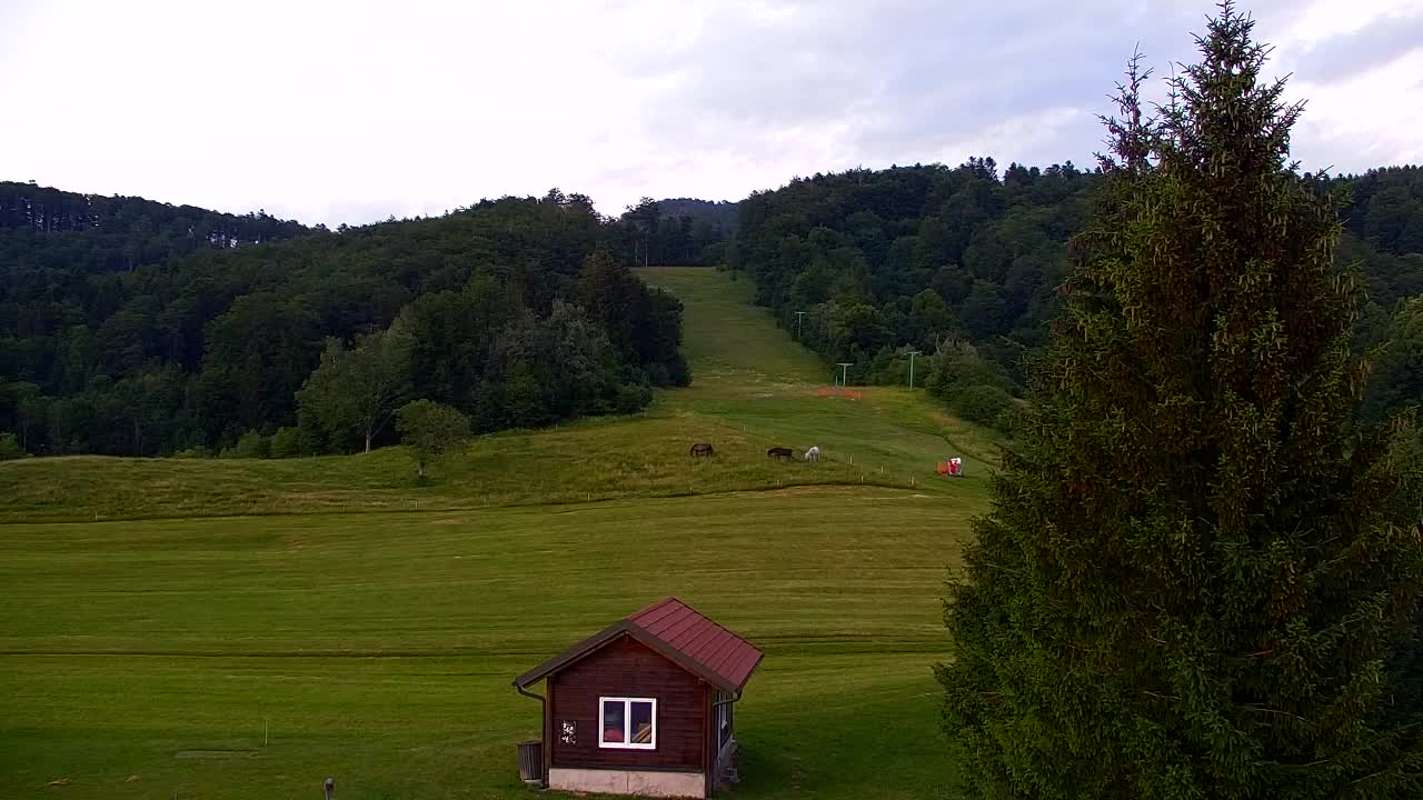 Webcam Lokve – Die Schönheit des Trnovo-Waldes