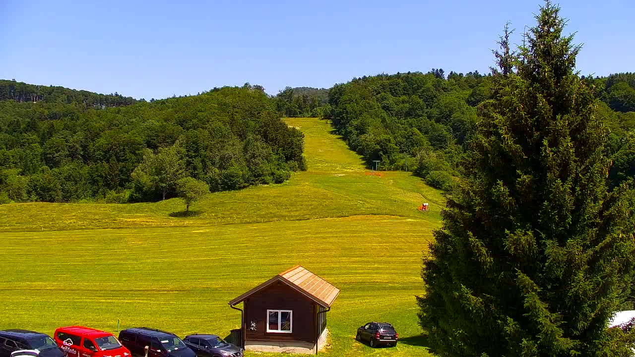 Webcam Lokve – The beauty of the Trnovo forest