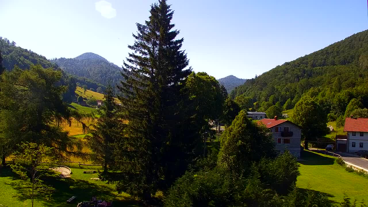 Webcam Lokve – La beauté de la forêt de Trnovo
