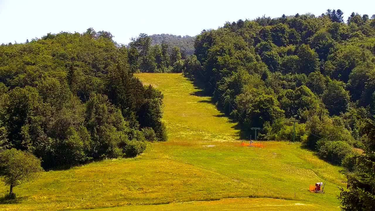 Webcam Lokve – The beauty of the Trnovo forest