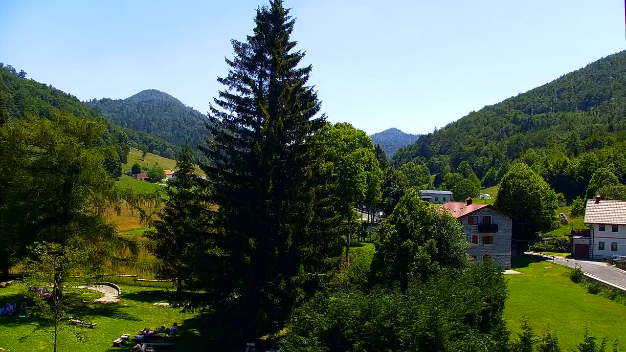 Webcam Lokve – The beauty of the Trnovo forest