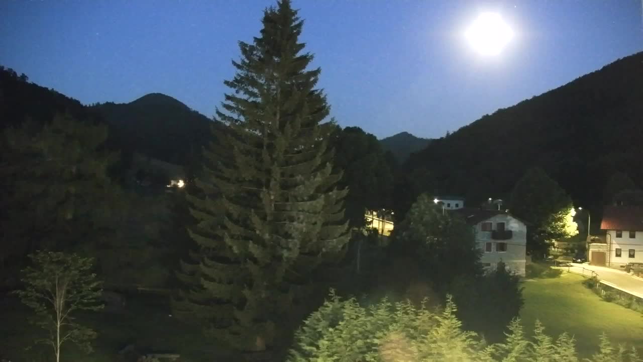 Webcam Lokve – The beauty of the Trnovo forest