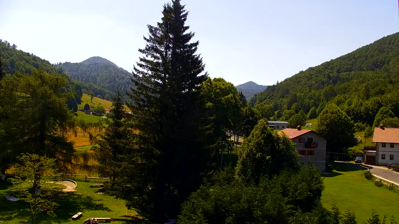 Webcam Lokve – The beauty of the Trnovo forest