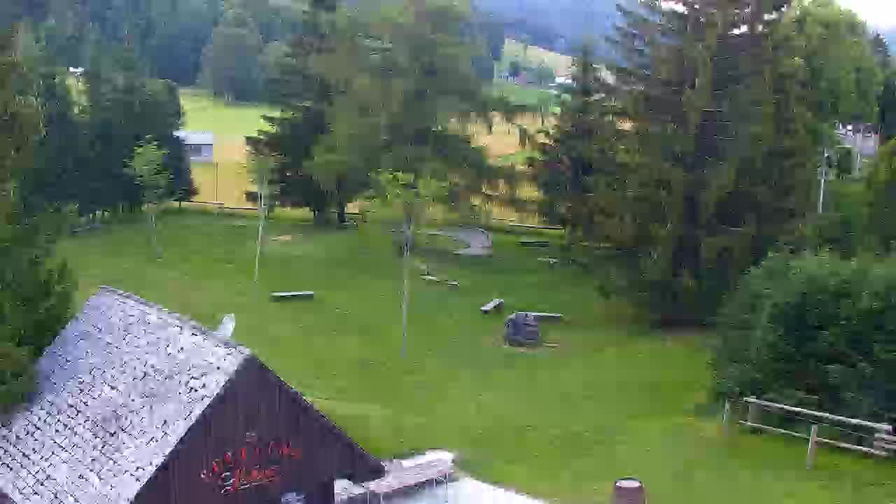 Webcam Lokve – The beauty of the Trnovo forest