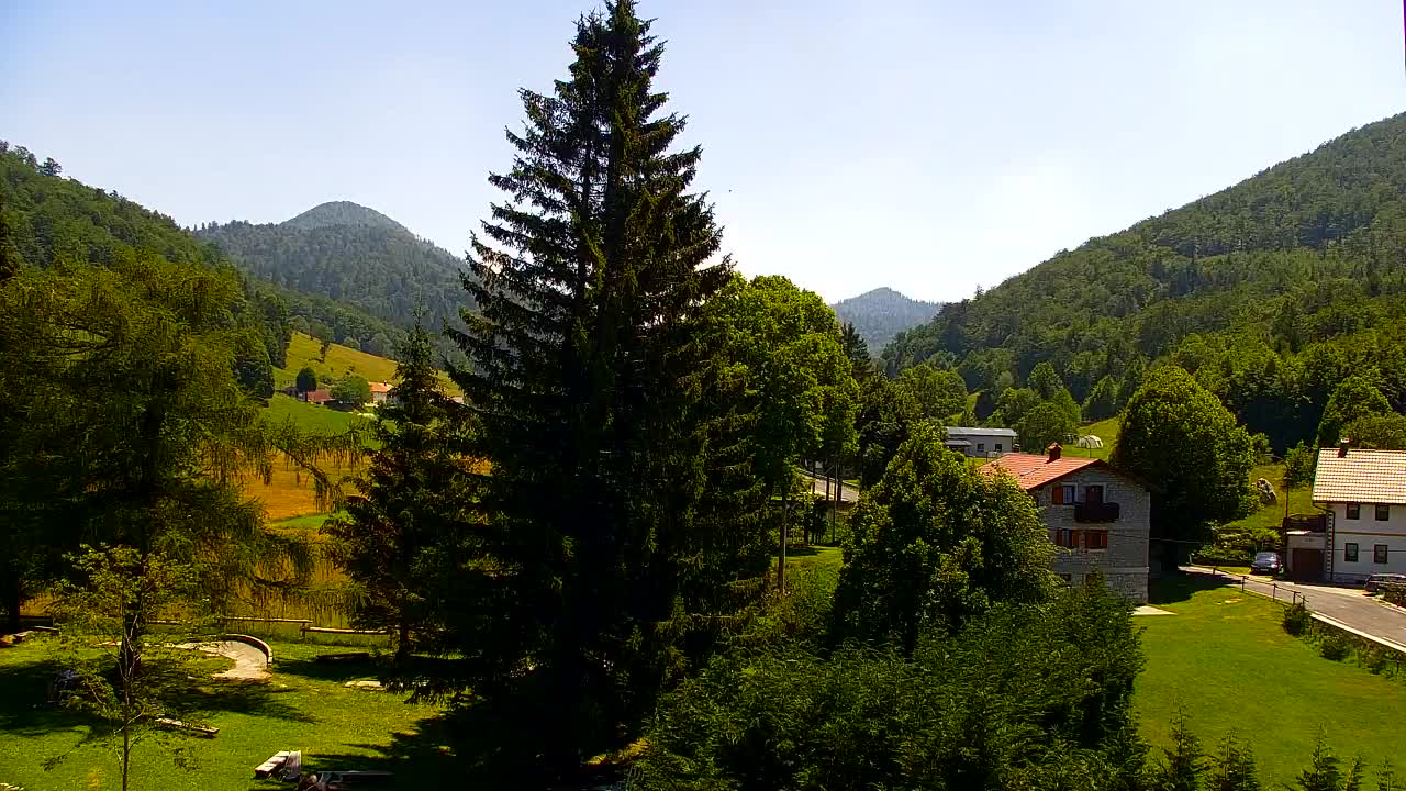 Webcam Loqua / Lokve – La bellezza della selva di Tarnova