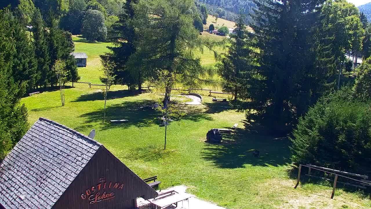 Webcam Loqua / Lokve – La bellezza della selva di Tarnova