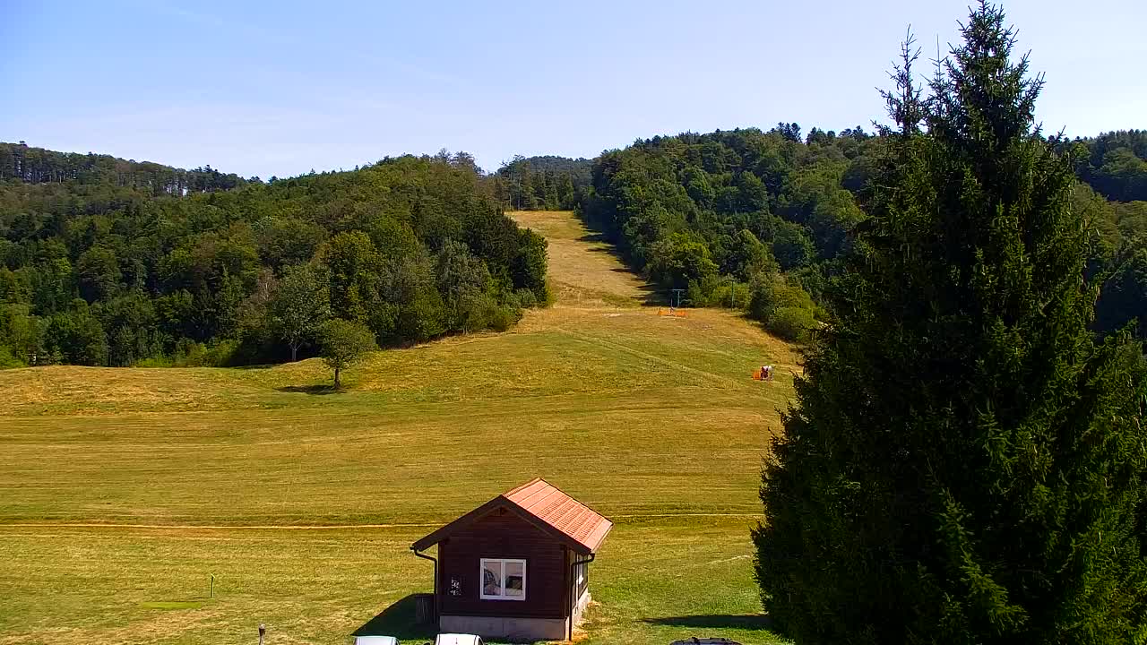 Webcam Lokve – The beauty of the Trnovo forest