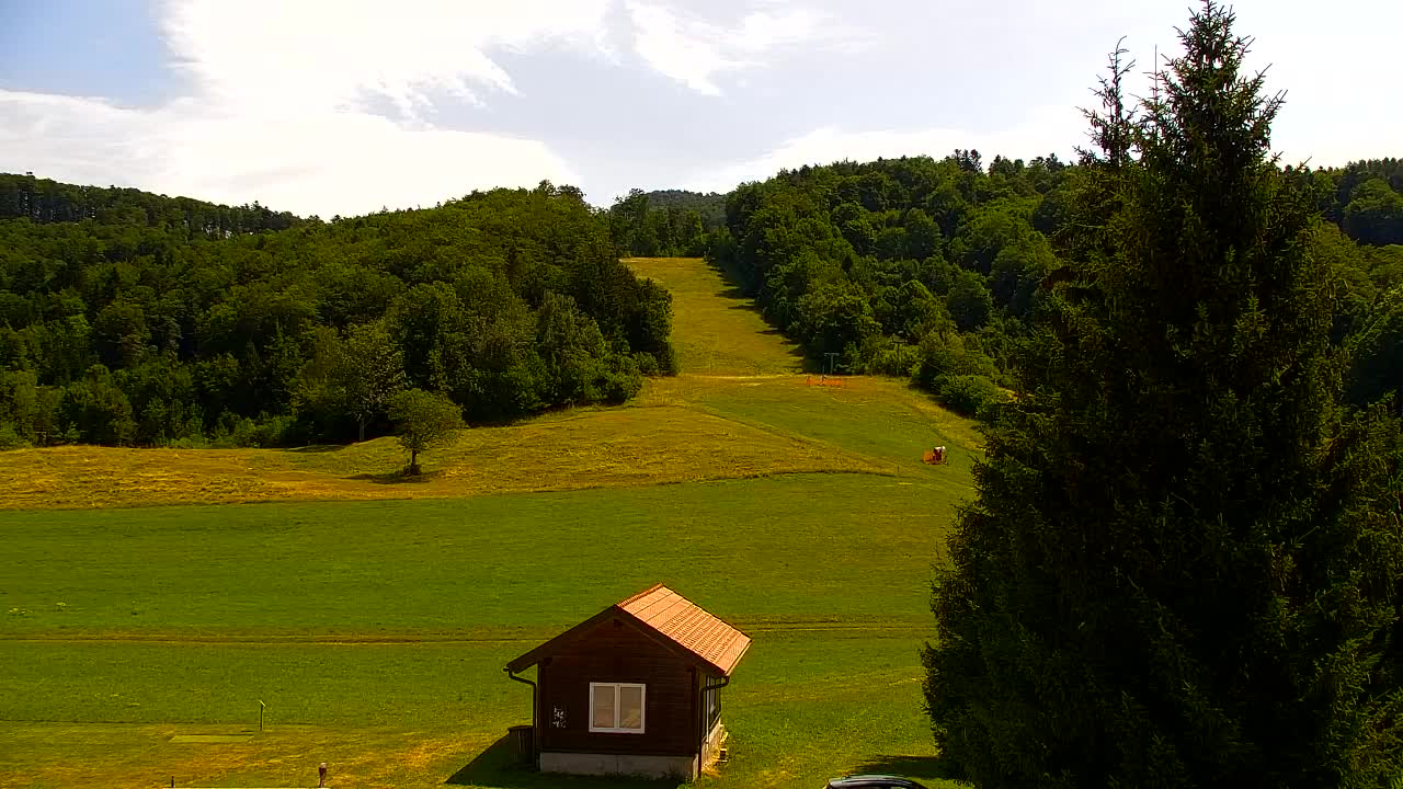 Webcam Lokve – La beauté de la forêt de Trnovo