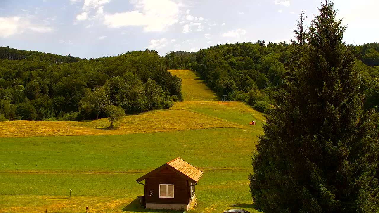 Webcam Lokve – La beauté de la forêt de Trnovo