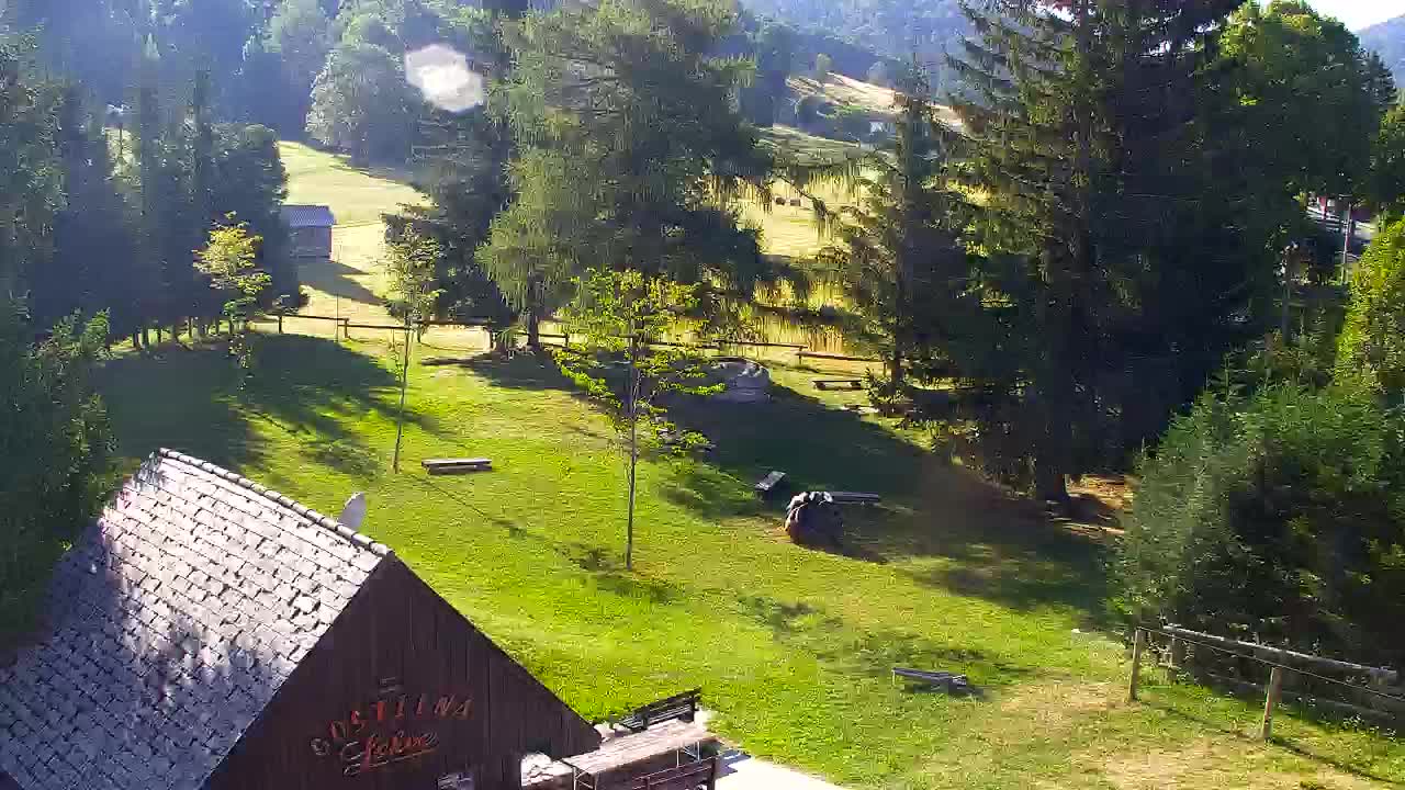 Webcam Loqua / Lokve – La bellezza della selva di Tarnova