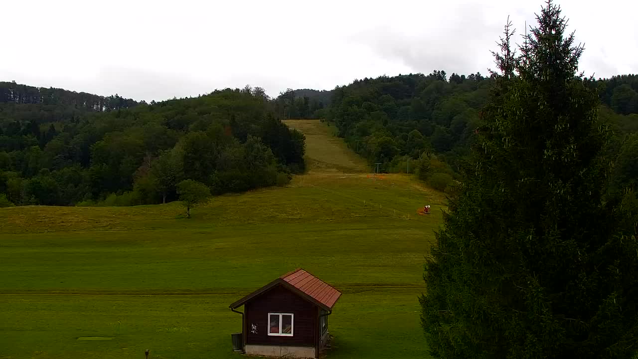 Webcam Loqua / Lokve – La bellezza della selva di Tarnova