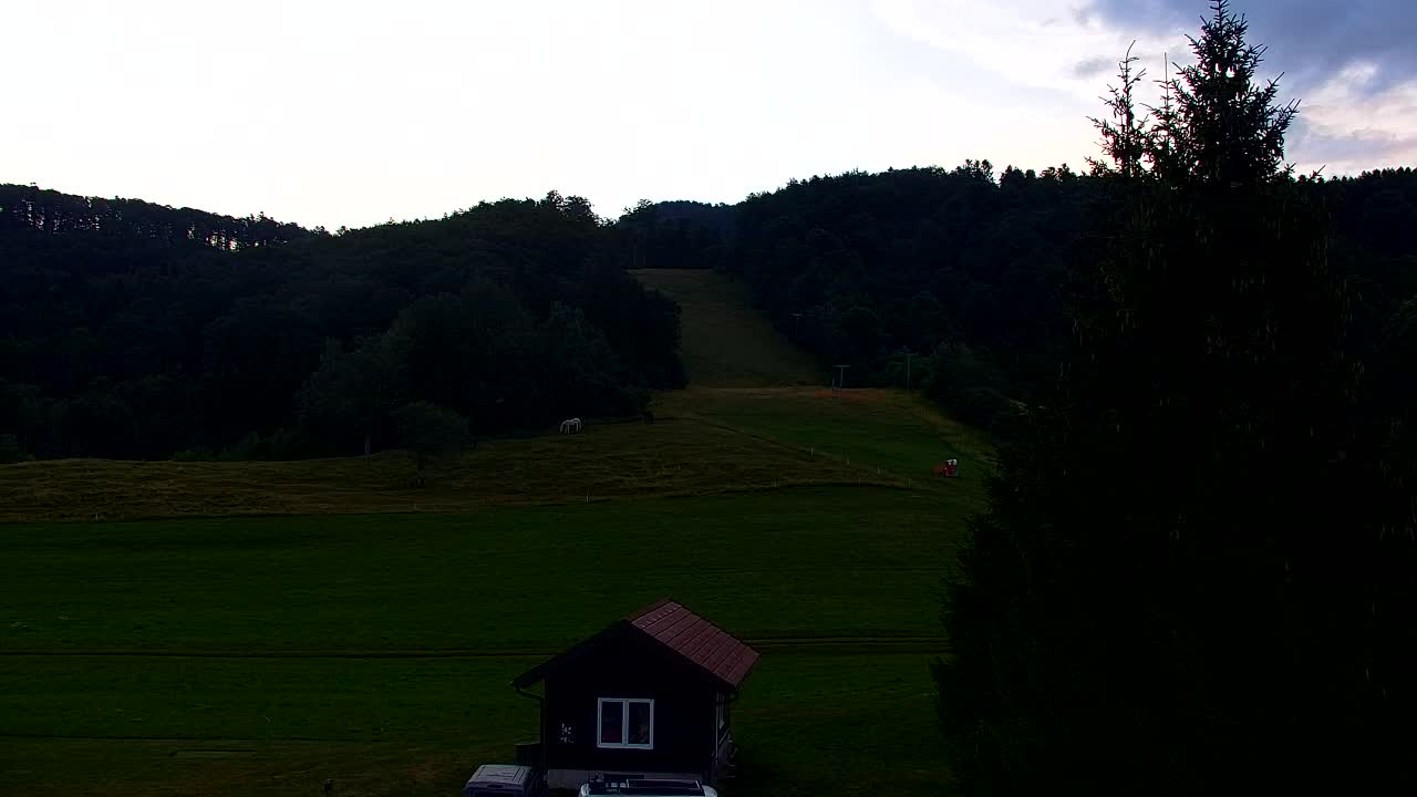Webcam Loqua / Lokve – La bellezza della selva di Tarnova