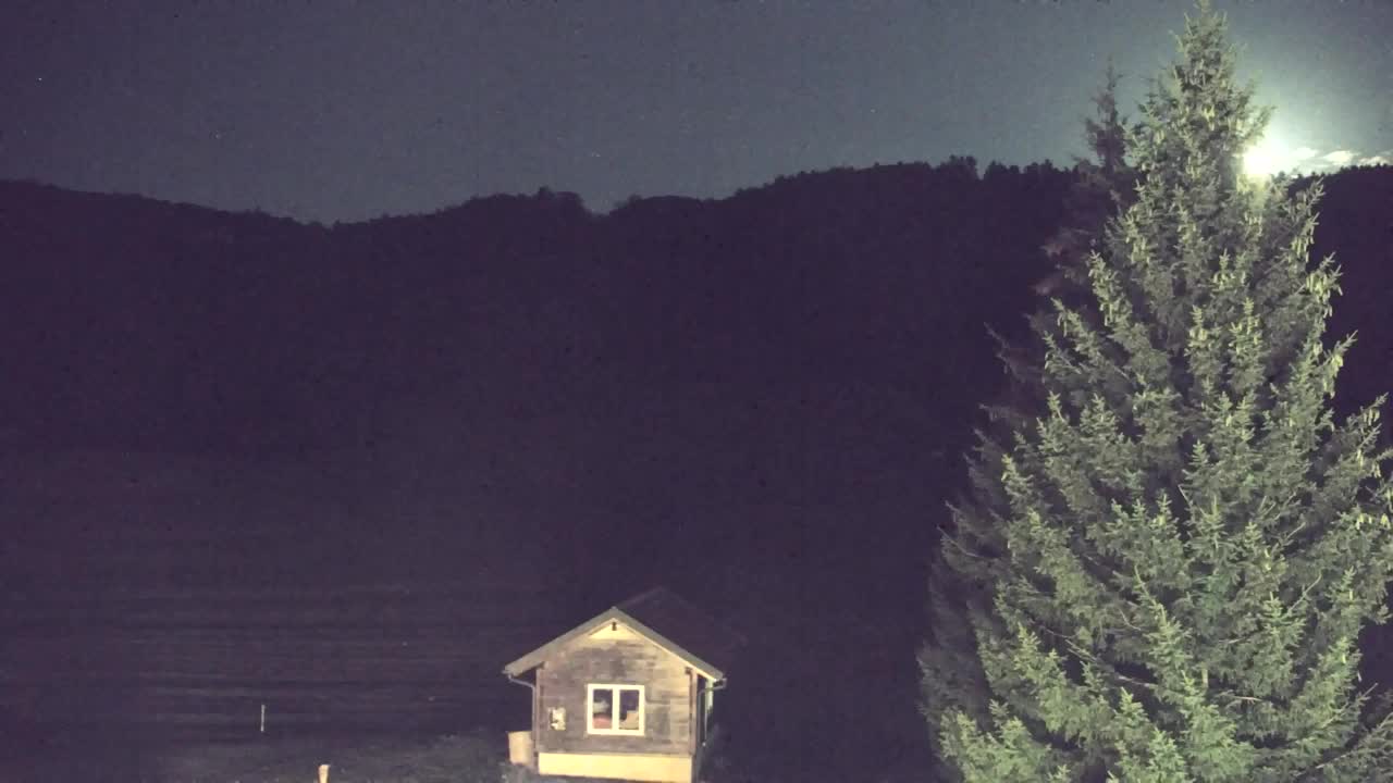 Webcam Loqua / Lokve – La bellezza della selva di Tarnova