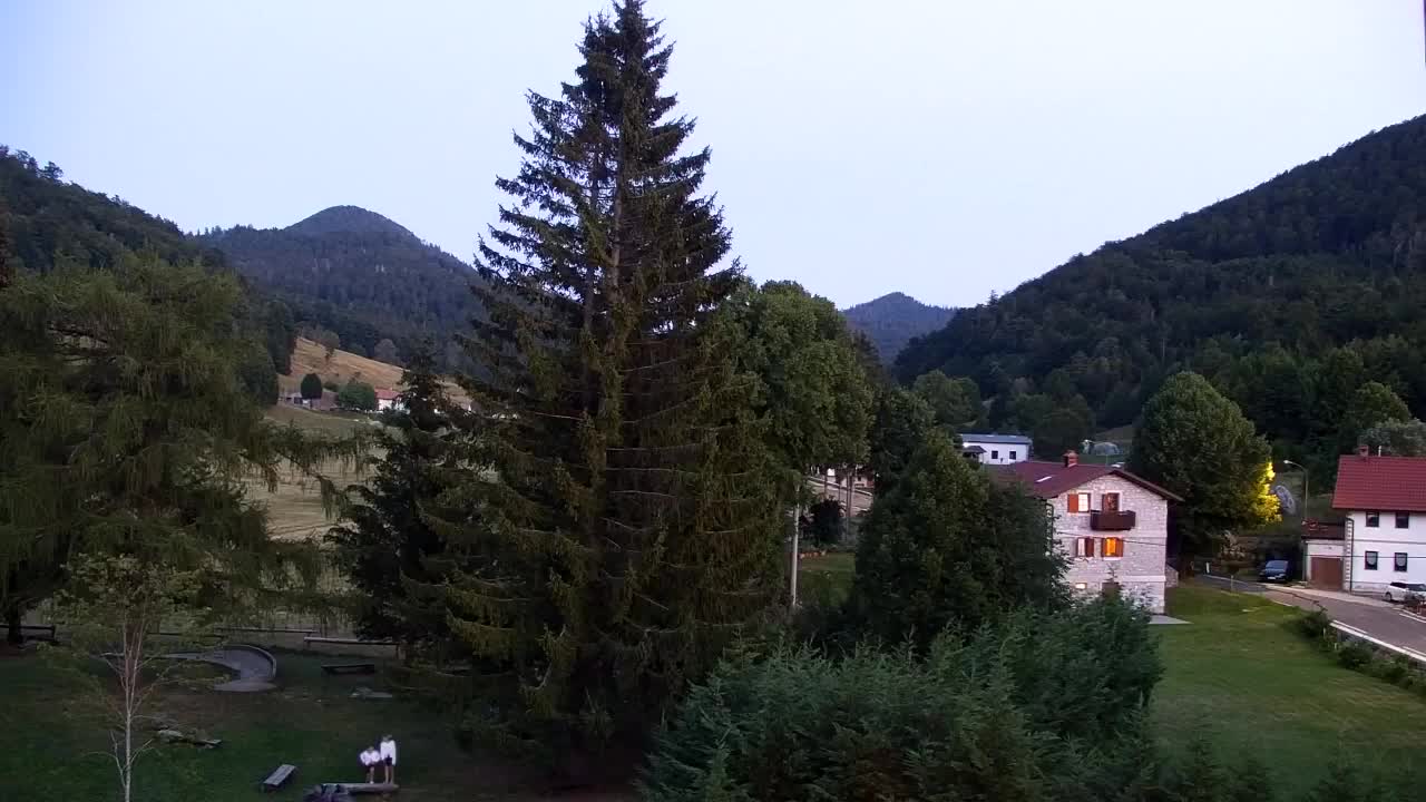 Webcam Loqua / Lokve – La bellezza della selva di Tarnova