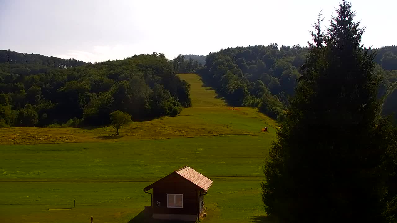 Webcam Lokve – The beauty of the Trnovo forest