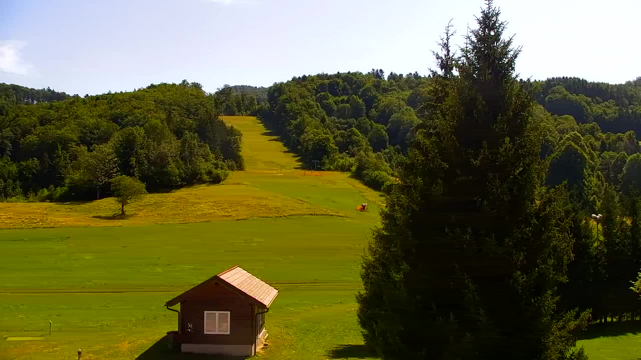 Webcam Lokve – La beauté de la forêt de Trnovo