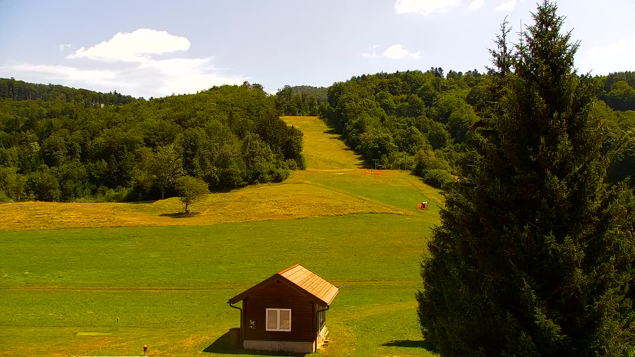 Webcam Lokve – The beauty of the Trnovo forest