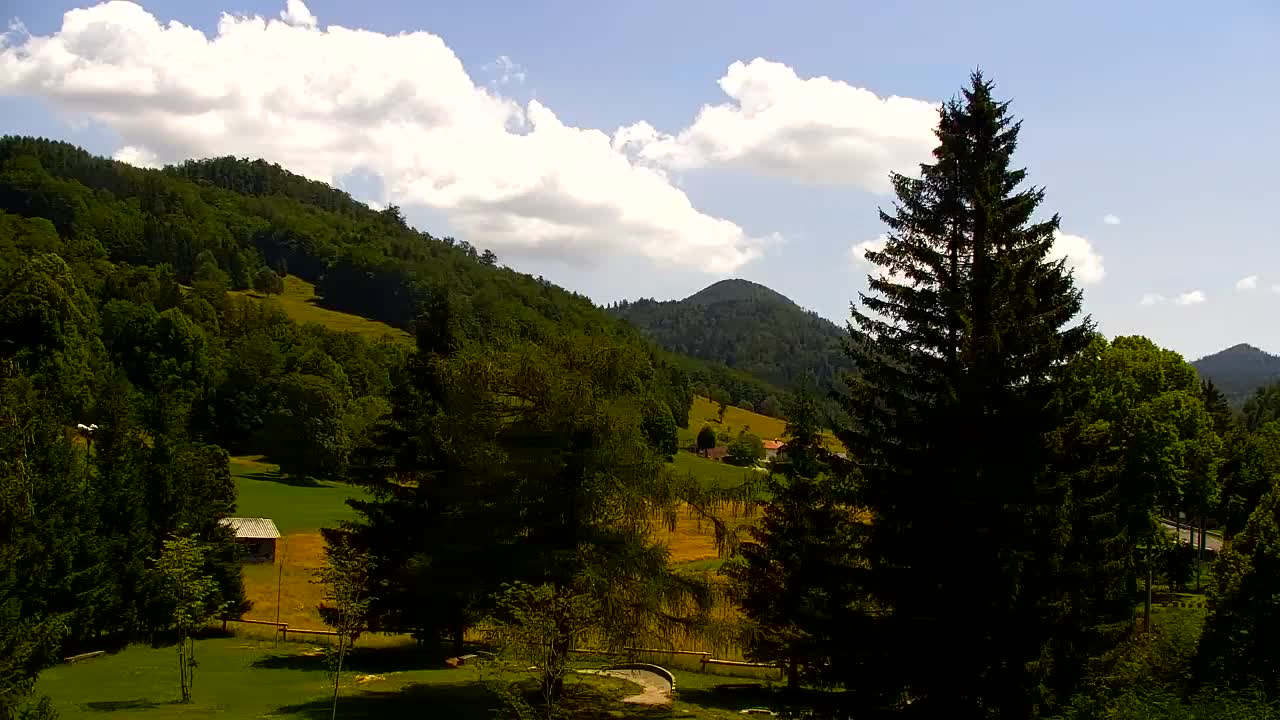 Webcam Lokve – The beauty of the Trnovo forest