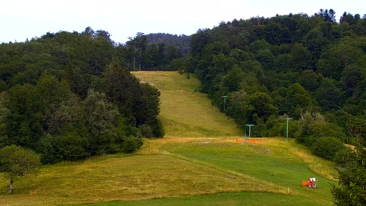 Webcam Lokve – The beauty of the Trnovo forest
