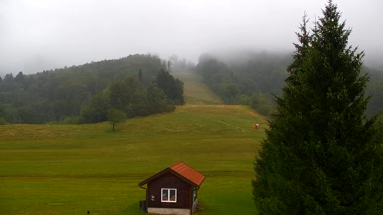 Webcam Lokve – The beauty of the Trnovo forest