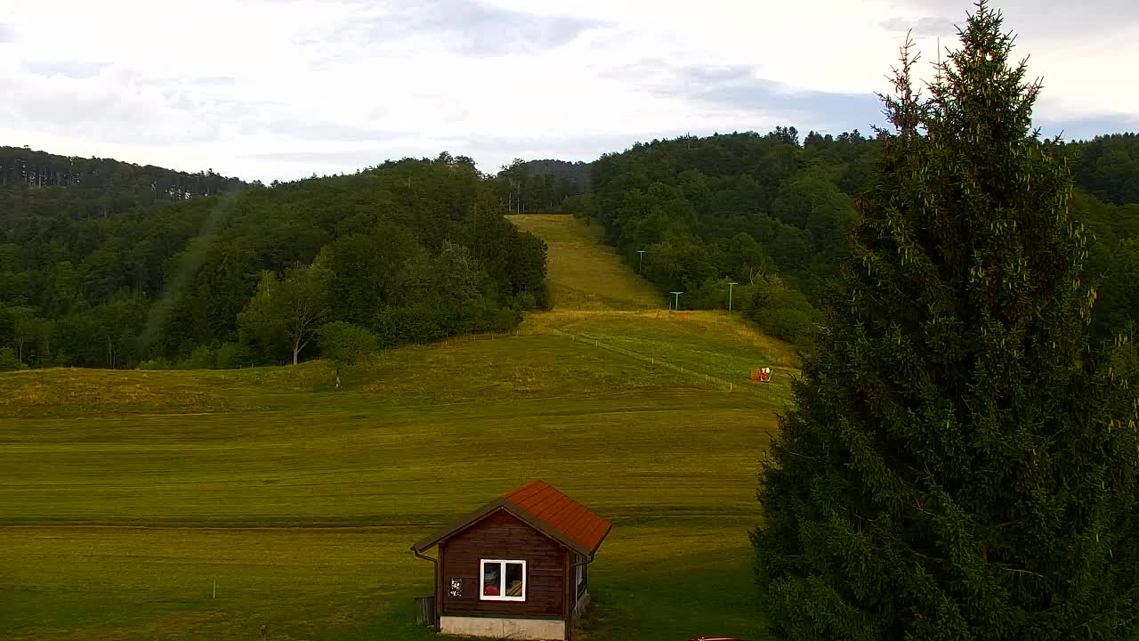 Webcam Loqua / Lokve – La bellezza della selva di Tarnova