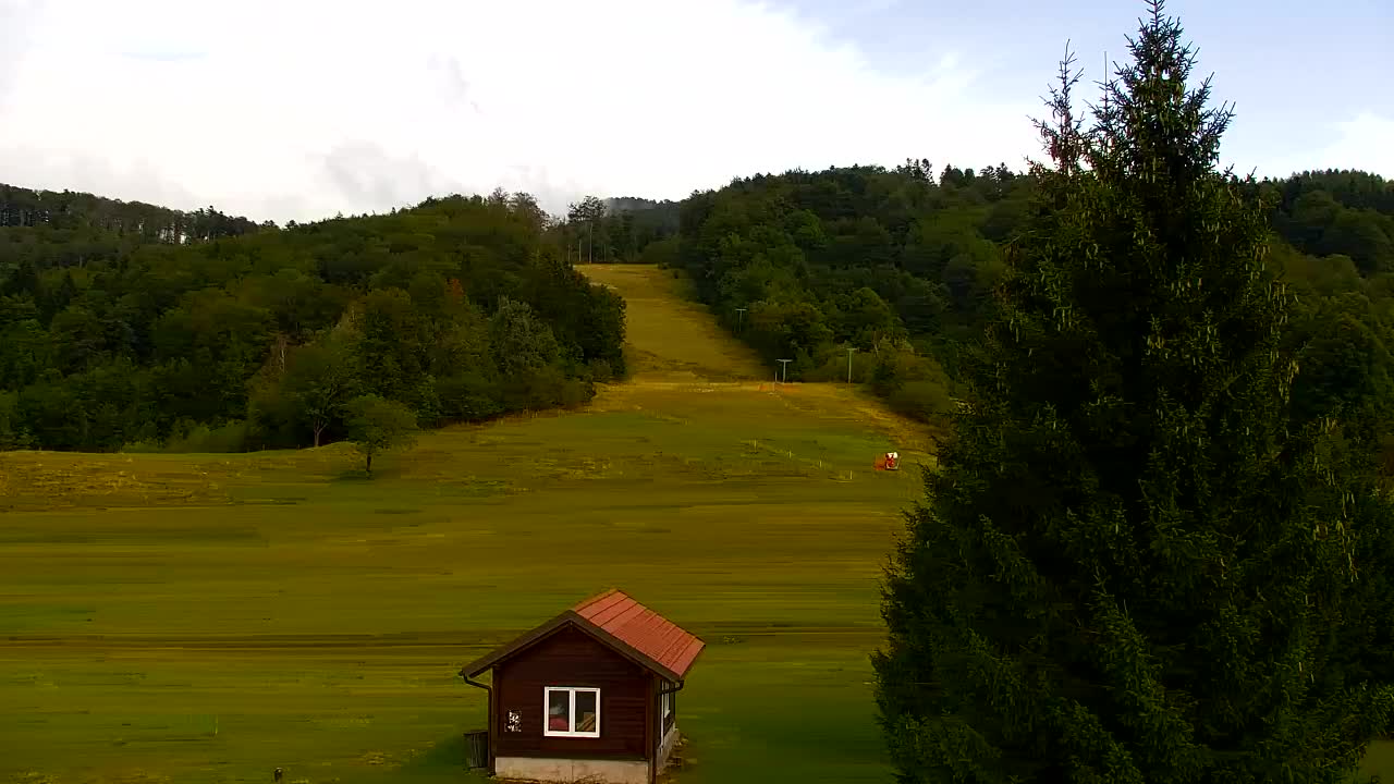 Webcam Loqua / Lokve – La bellezza della selva di Tarnova