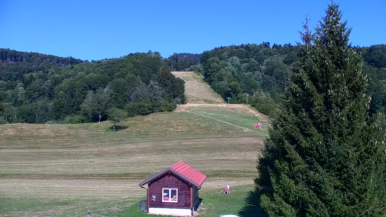 Webcam Lokve – The beauty of the Trnovo forest
