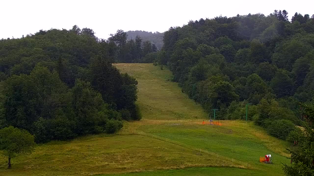 Webcam Lokve – The beauty of the Trnovo forest