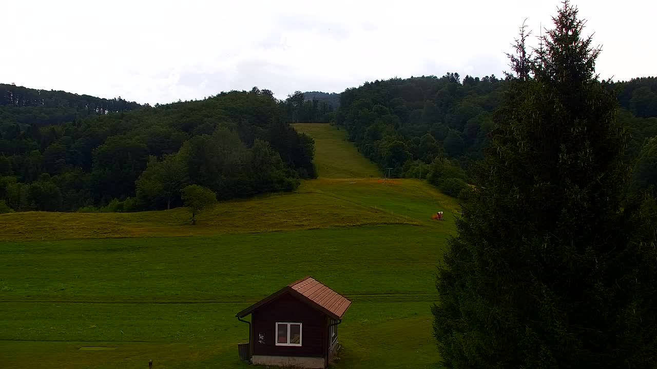 Webcam Lokve – The beauty of the Trnovo forest