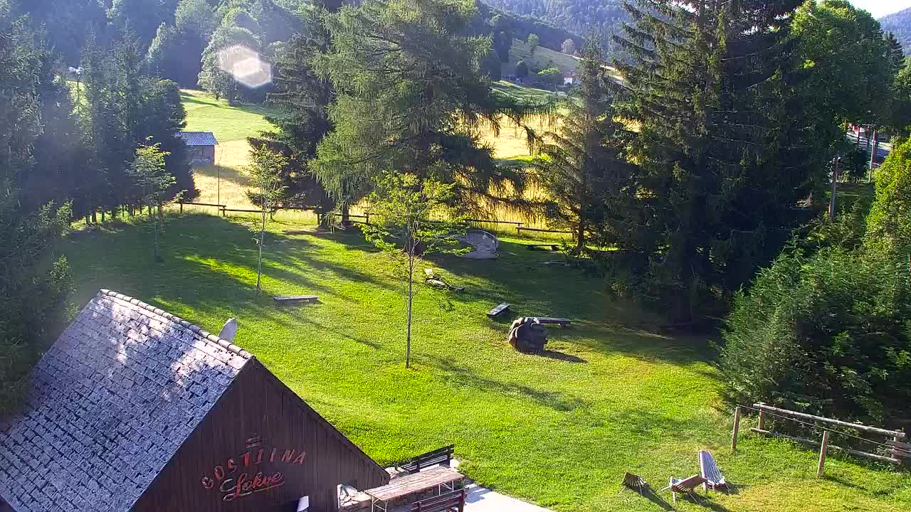 Webcam Lokve – The beauty of the Trnovo forest