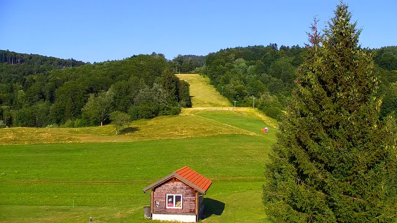 Webcam Lokve – The beauty of the Trnovo forest