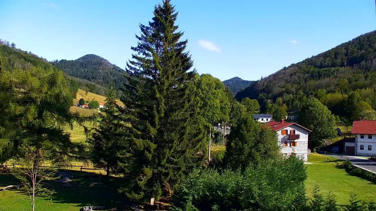 Webcam Lokve – The beauty of the Trnovo forest