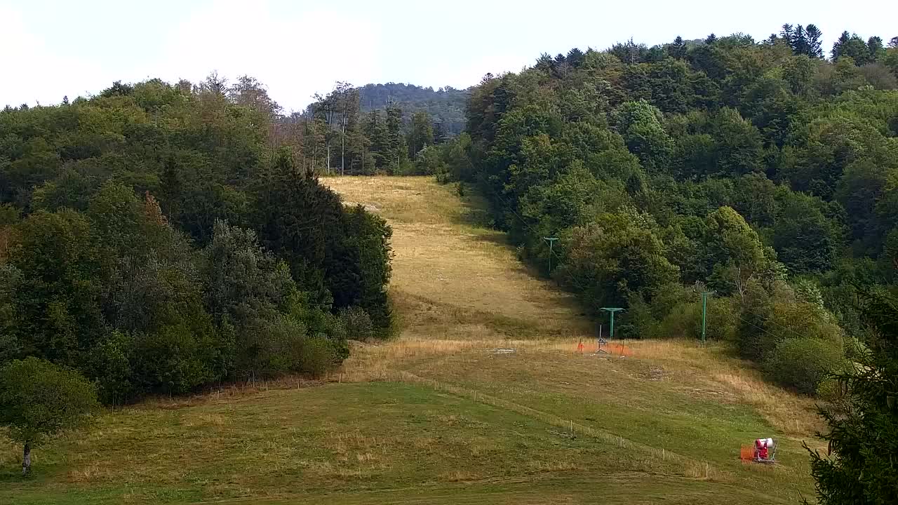 Webcam Lokve – The beauty of the Trnovo forest