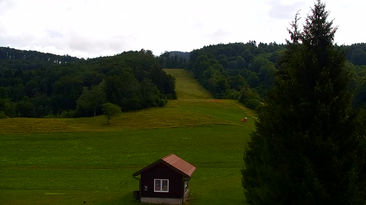 Webcam Lokve – The beauty of the Trnovo forest