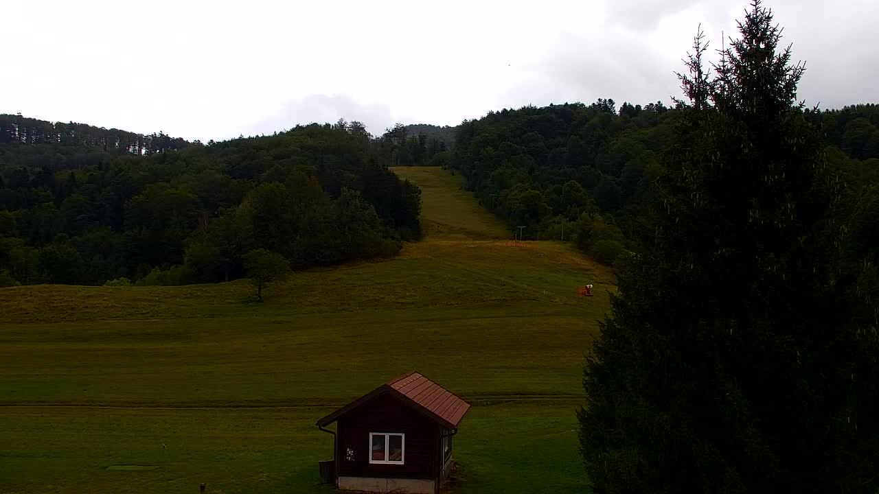 Webcam Lokve – The beauty of the Trnovo forest