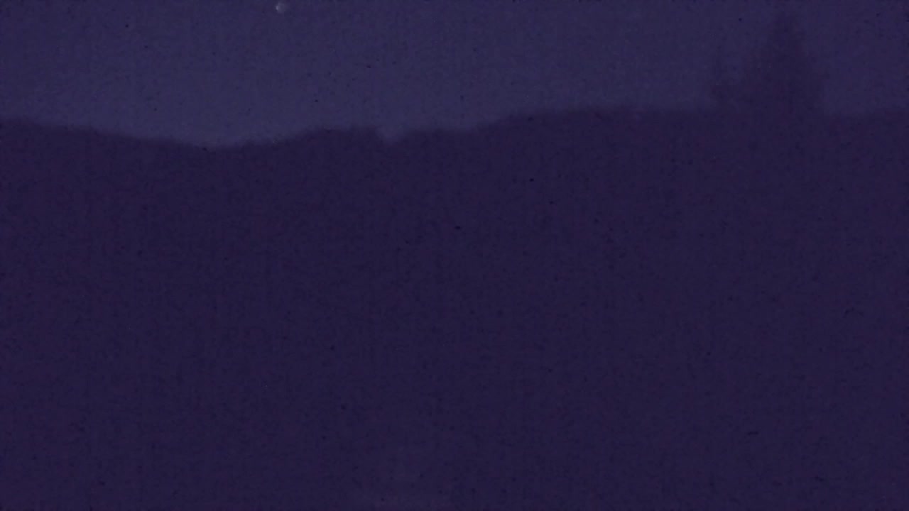 Webcam Lokve – The beauty of the Trnovo forest
