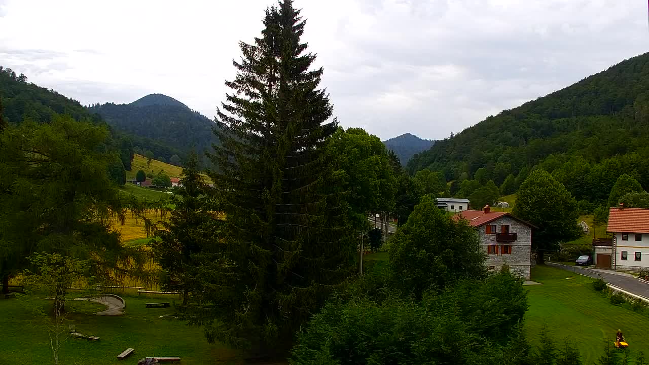Camera en vivo Lokve – La belleza del bosque de Trnovo