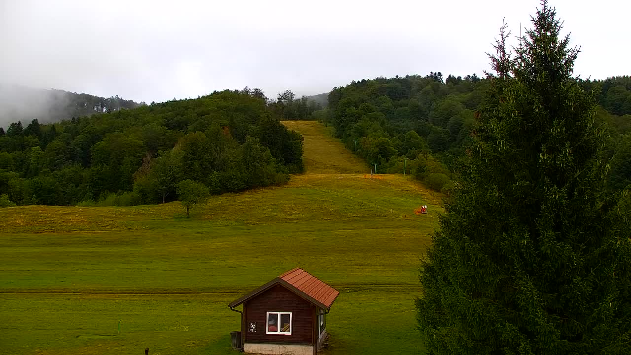 Webcam Lokve – The beauty of the Trnovo forest