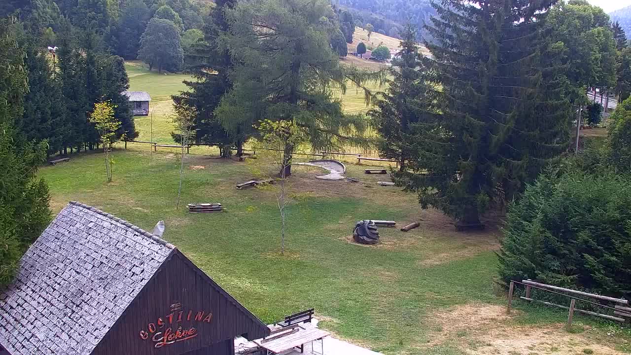 Webcam Loqua / Lokve – La bellezza della selva di Tarnova