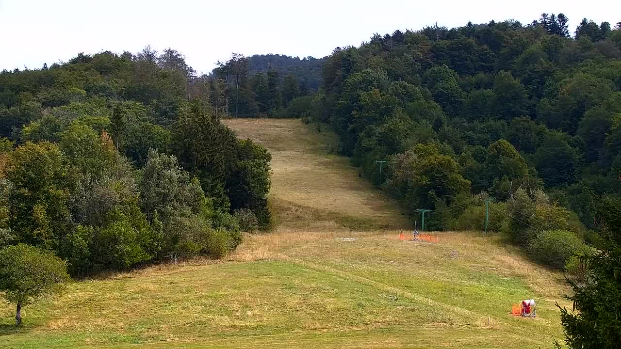 Camera en vivo Lokve – La belleza del bosque de Trnovo