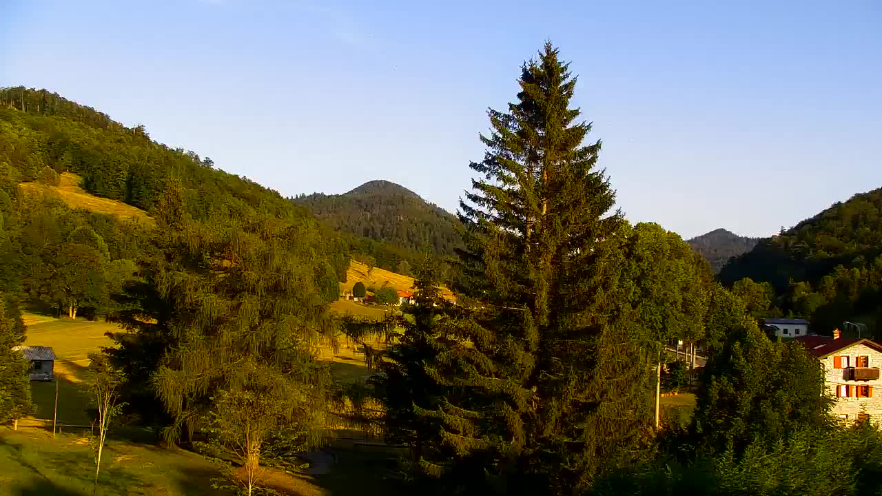 Webcam Lokve – La beauté de la forêt de Trnovo