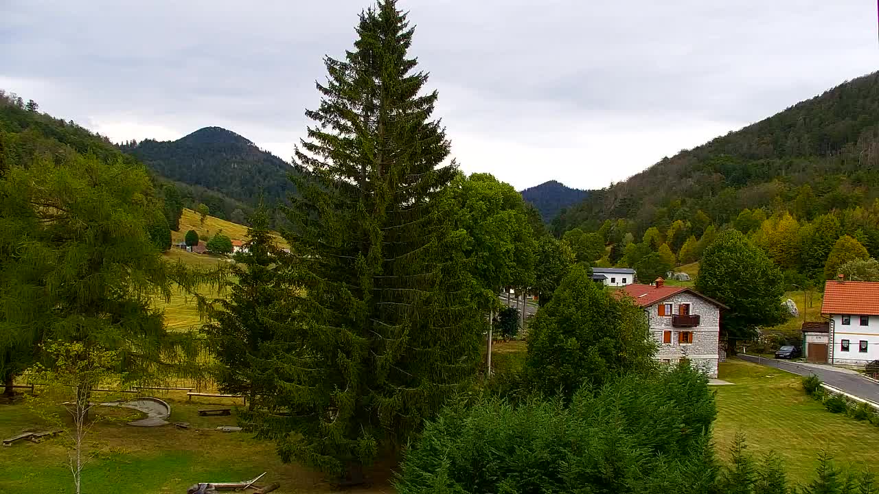 Camera en vivo Lokve – La belleza del bosque de Trnovo