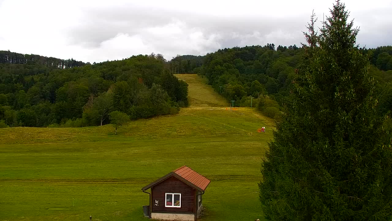Webcam Lokve – La beauté de la forêt de Trnovo