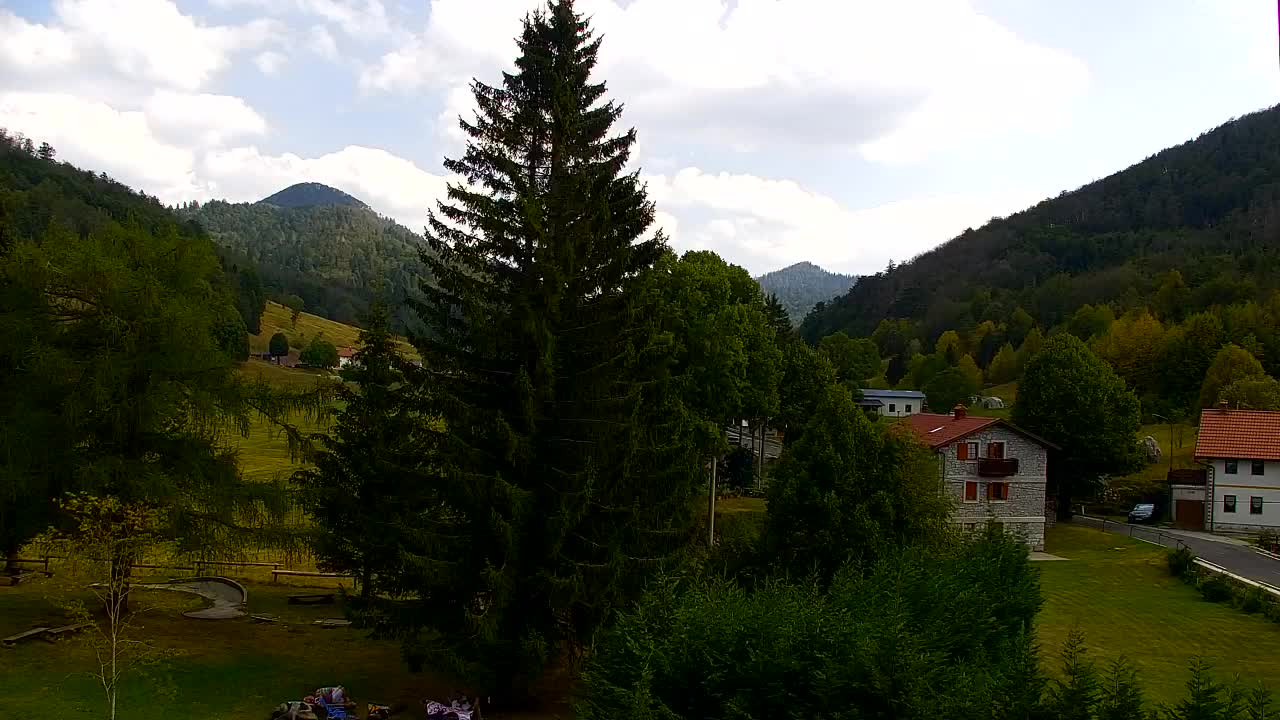 Webcam Lokve – La beauté de la forêt de Trnovo