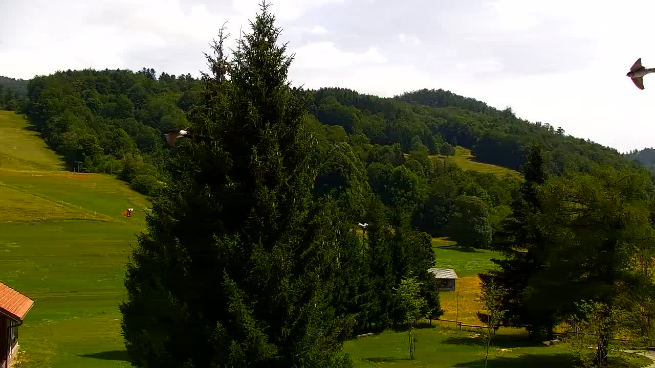 Camera en vivo Lokve – La belleza del bosque de Trnovo